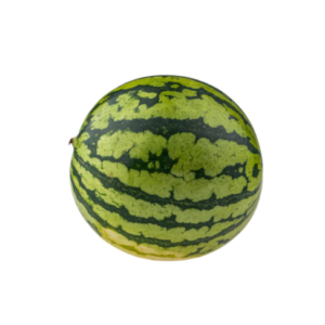 MELON WATERMELON