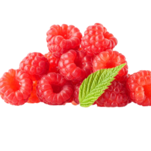RASPBERRY PREMIUM