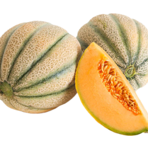 MELON CANTALOUPE JBO