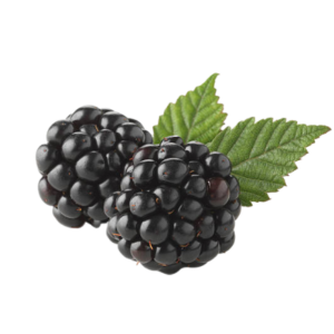 BLACKBERRY