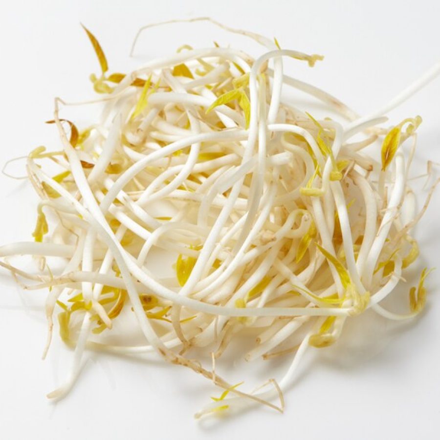 Mung_bean_sprouts