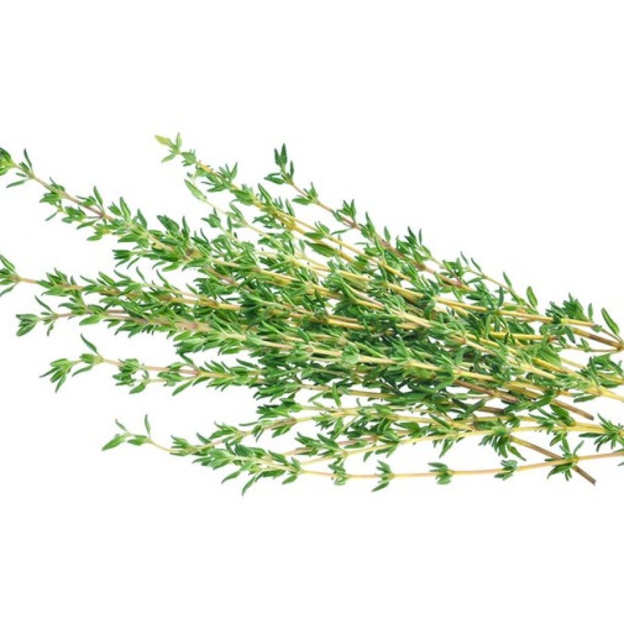 Thyme-sprig-96aeb6f