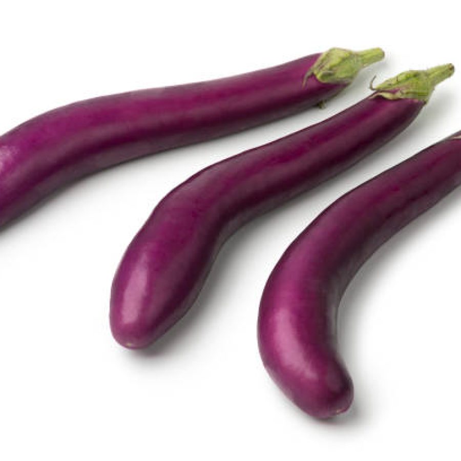 Fresh raw Japanese purple eggplants iisolated on white background