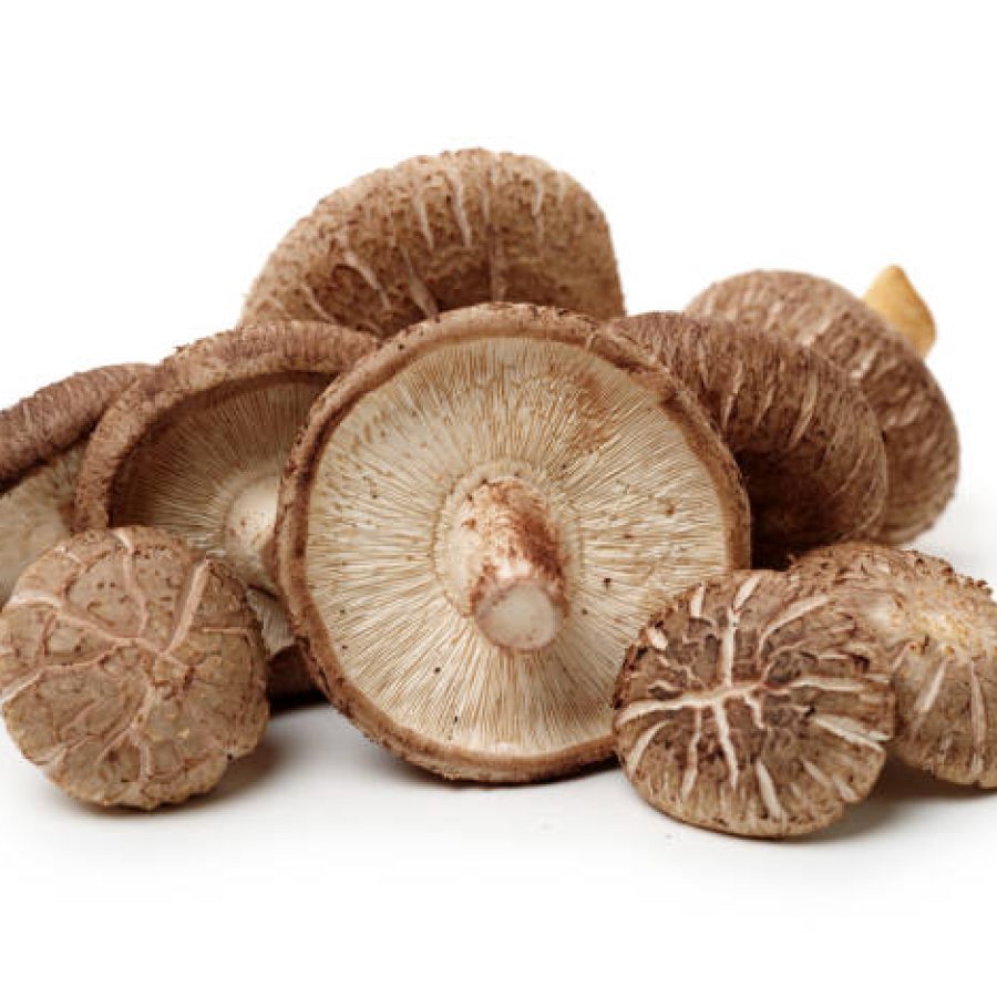 Shiitake mushroom on the White background