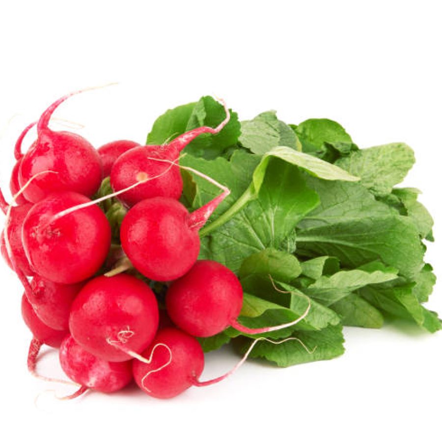 Small garden radish isolated on white background