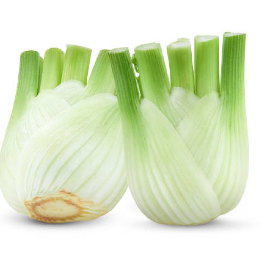 Fresh fennel isolated on a white background