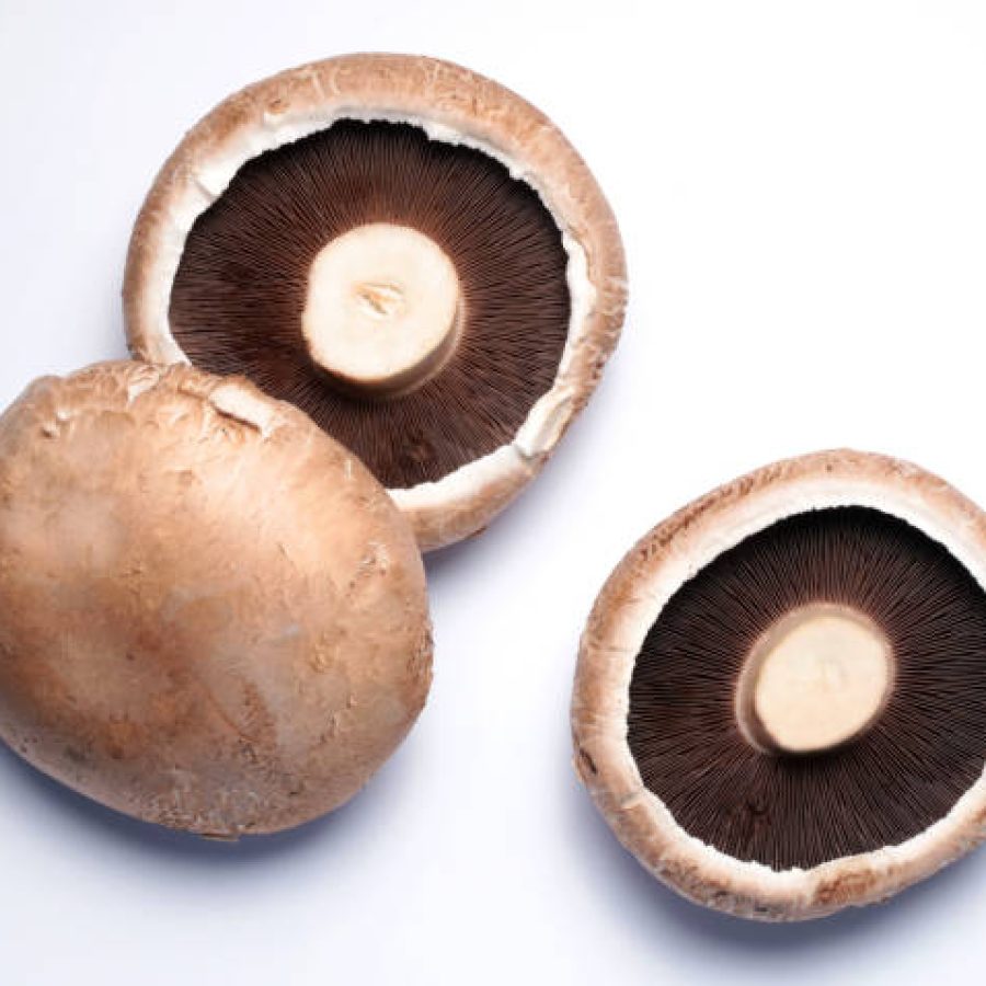 Portobello mushrooms isolated on a white background. Directly above.