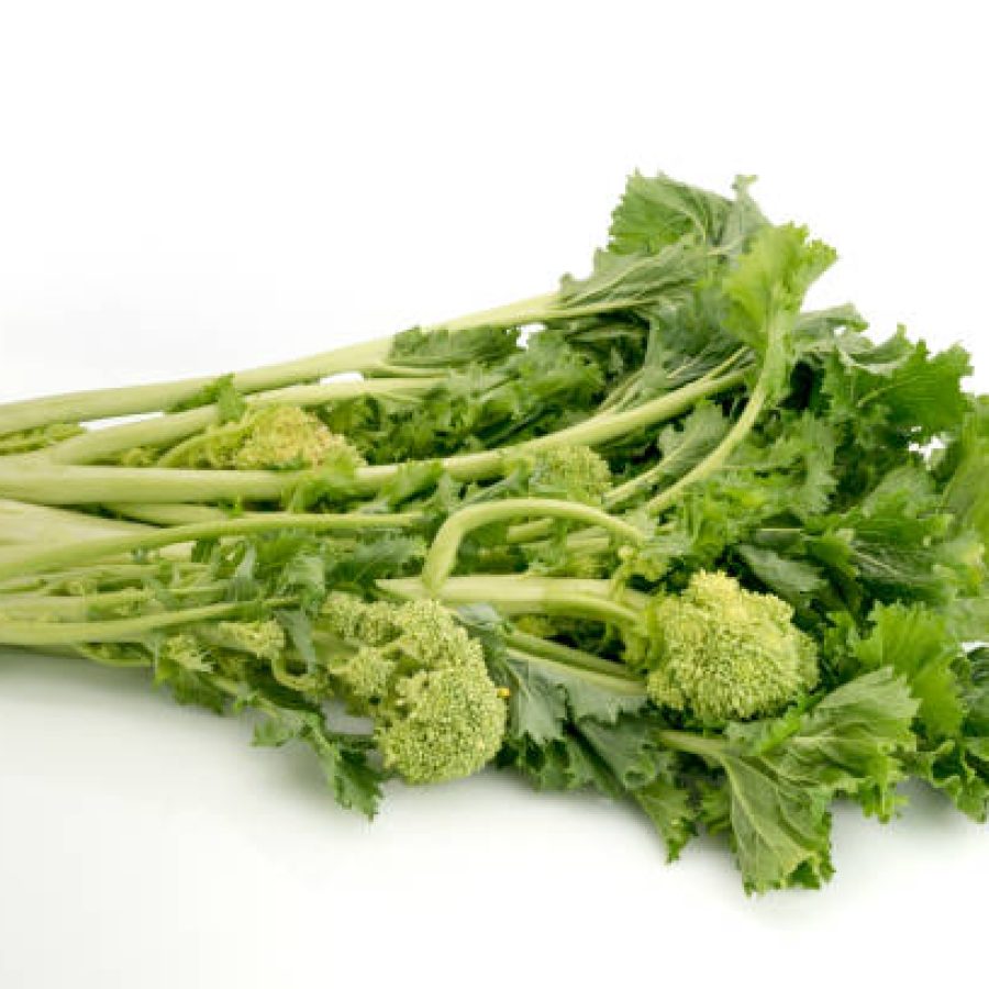 Bunch of fresh turnip tops , italian cime di rapa, isolated on white background