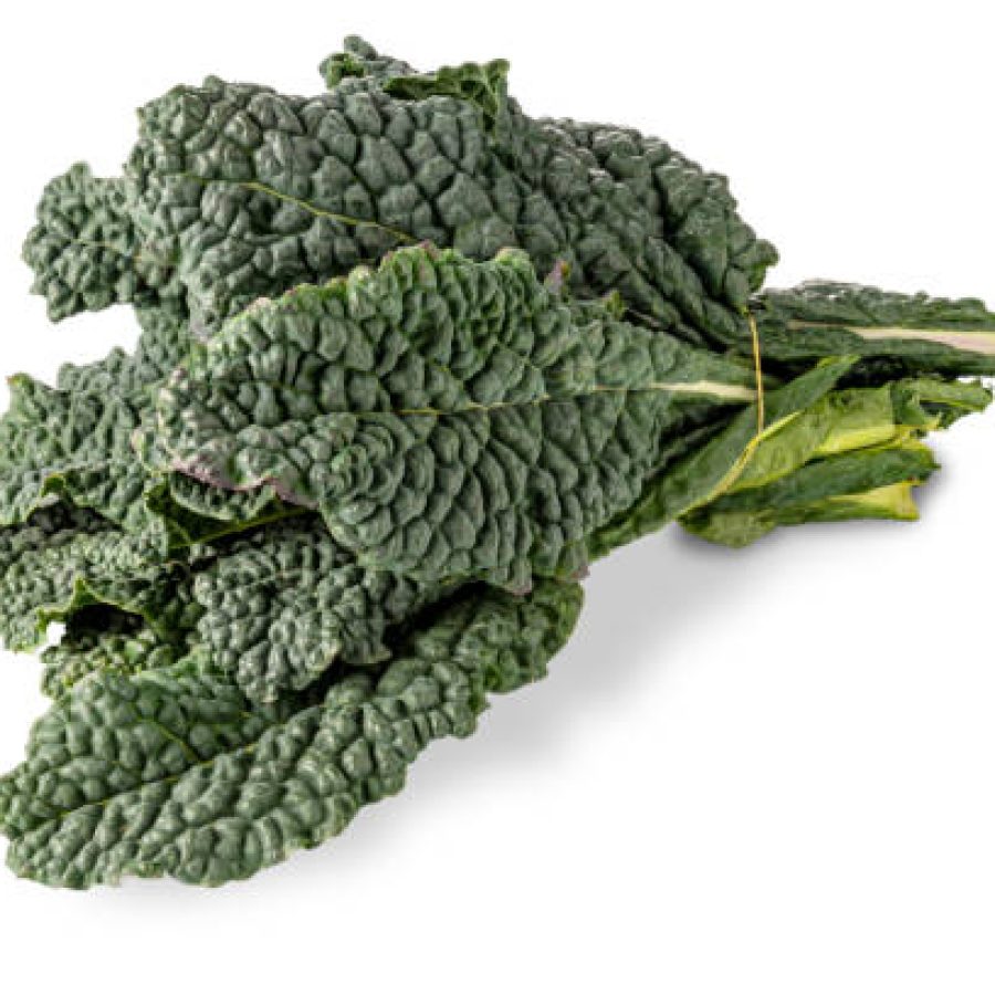 Bunch of Italian black kale or Tuscan kale or lacinato or dinosaur kale isolated on white; clipping path