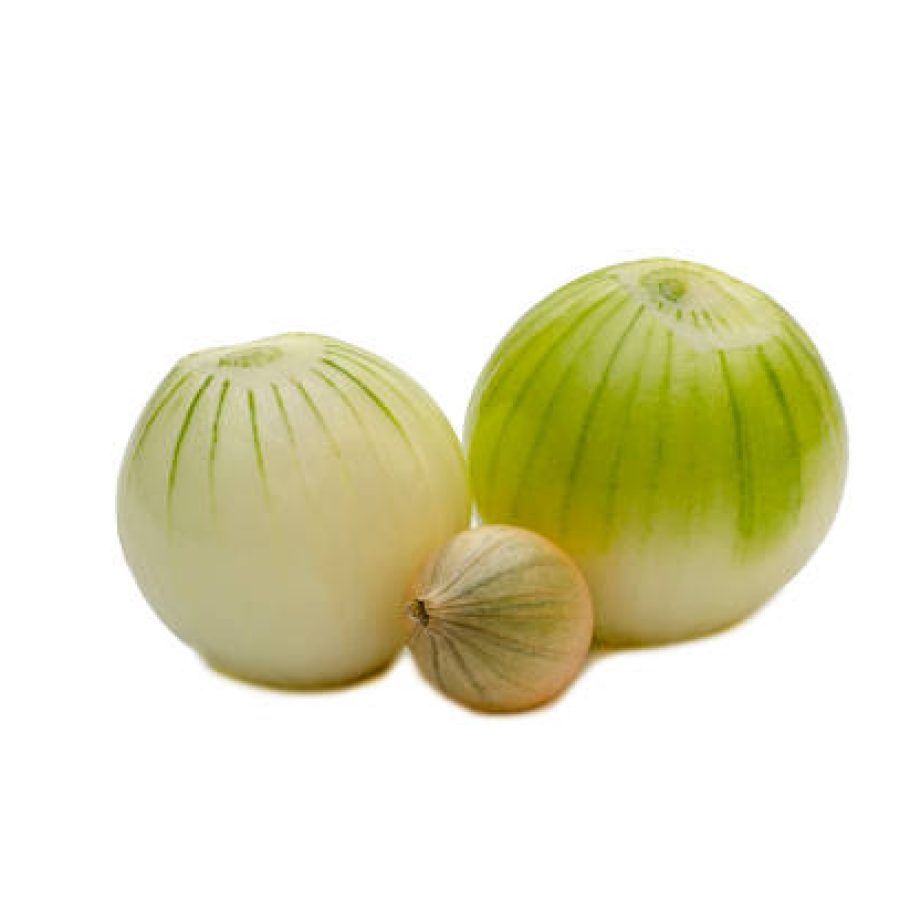 Peeled two onions with a characteristic pattern. And a small onion unpeeled with a pattern on an isolated background