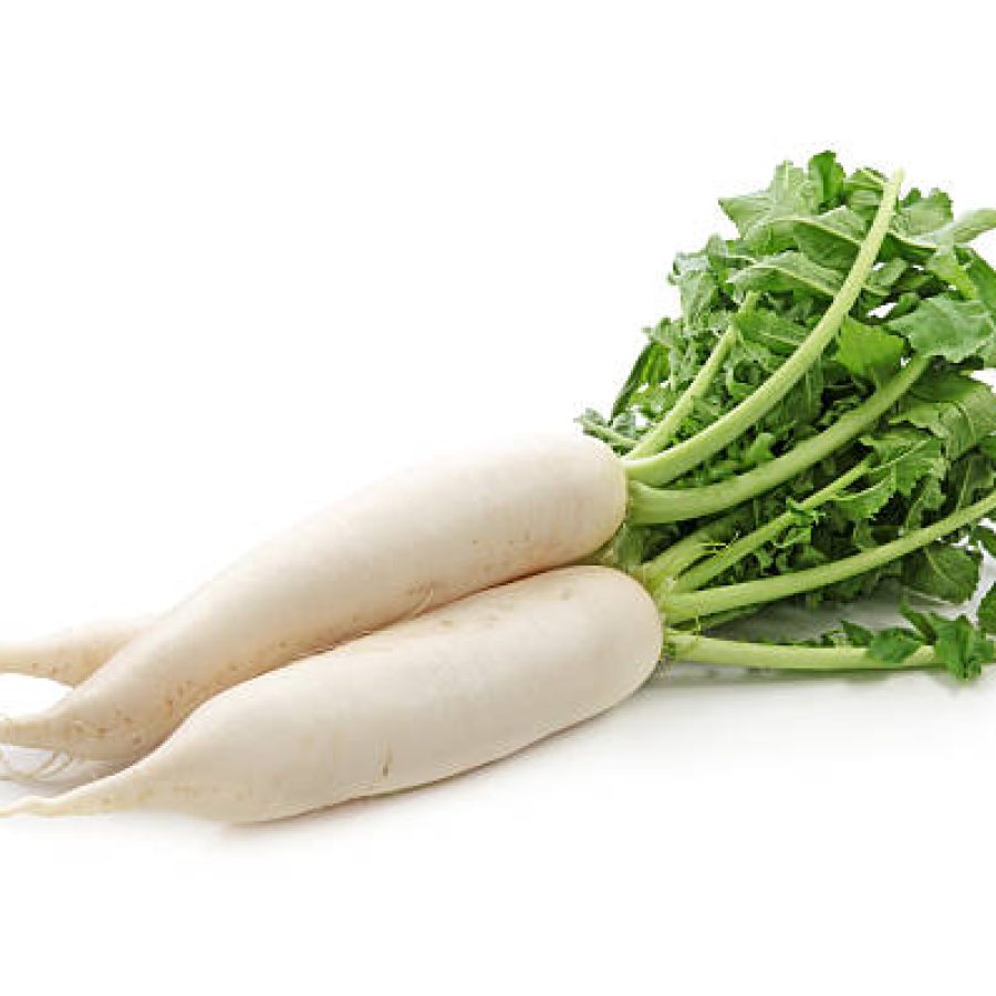 Daikon radishes isolated on white background