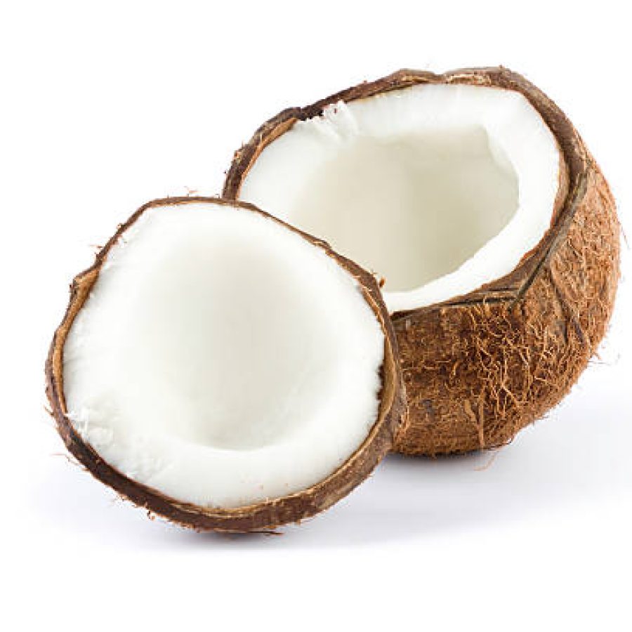 coconut on white background