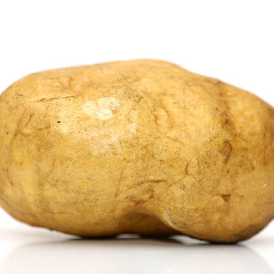 Macro shot of potatoe, isolated on pure white.