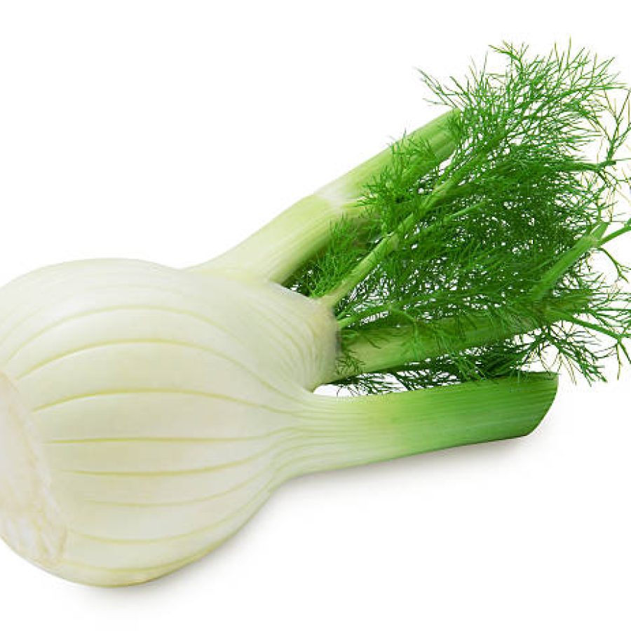 Fresh fennel isolated on a white background