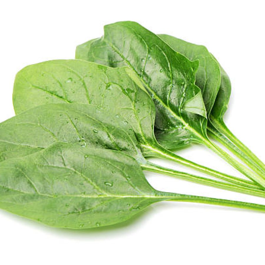 Spinach on a white background