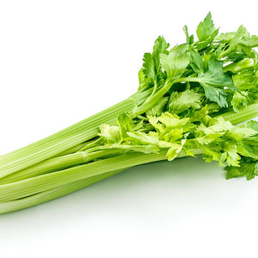 Fresh celery isolated on white background