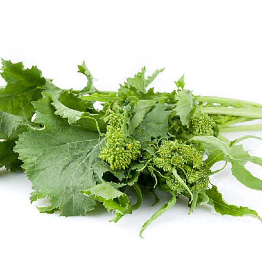 Fresh rapini isolated on white background.