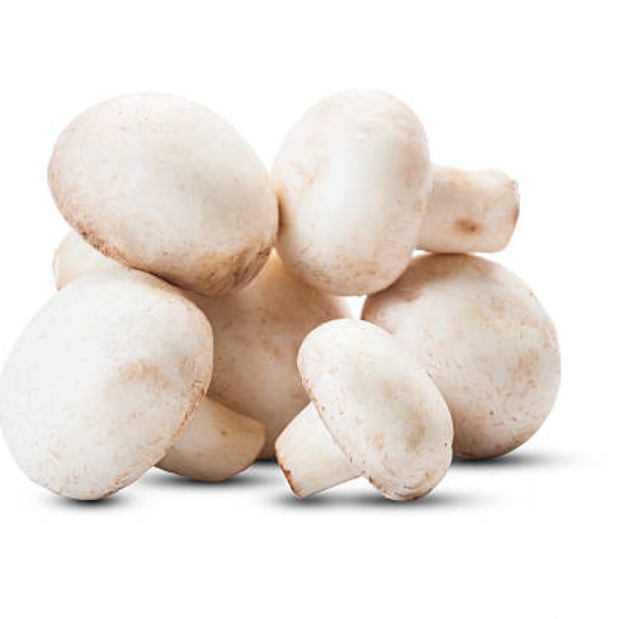 Closeup of bunch of champignon mushrooms isolated on white background