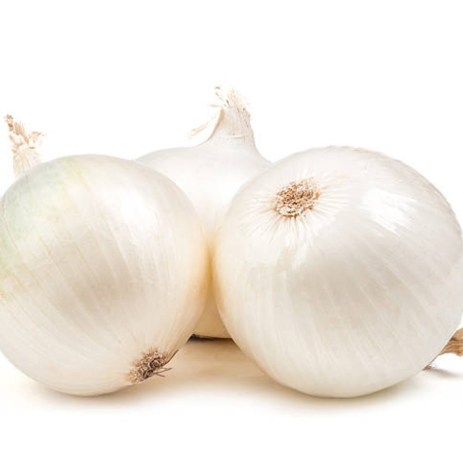 white onion isolated on white background