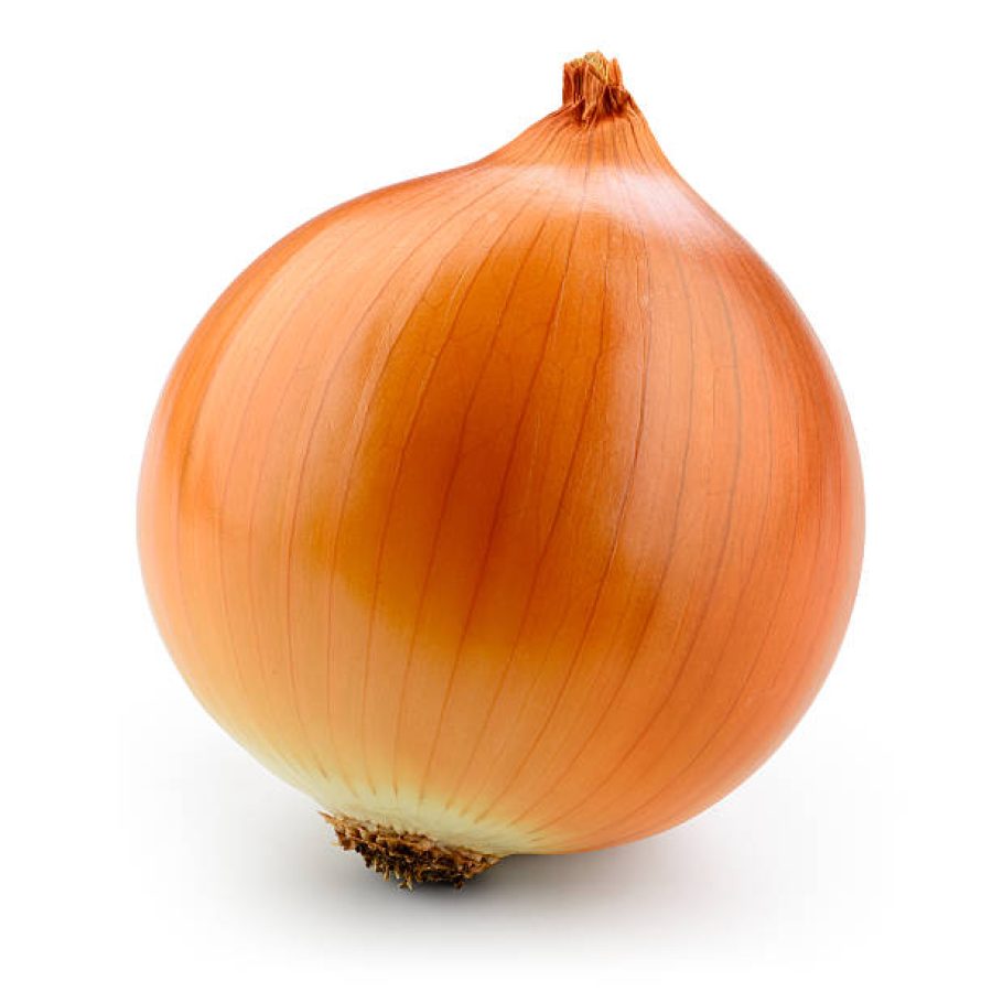 Fresh onion bulb isolated on white. With clipping path.