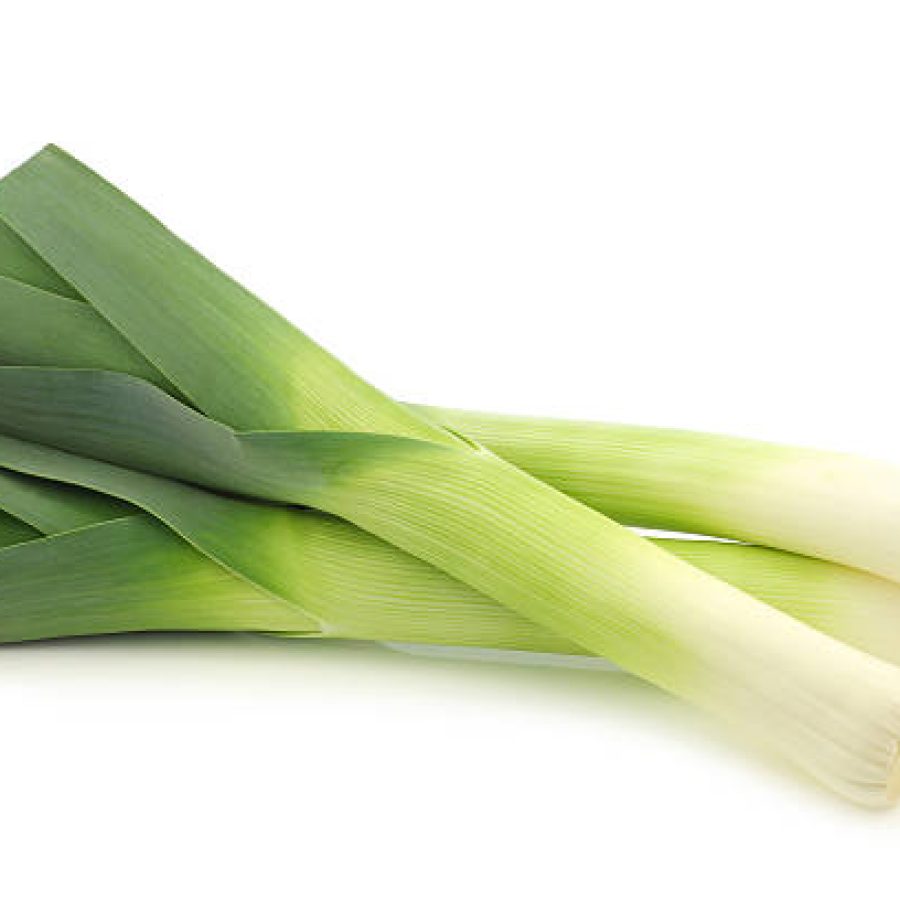 fresh leek on a white background