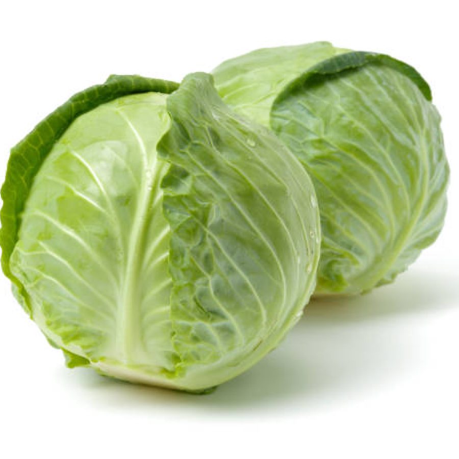 Isolated fresh   Green cabbage   on white background