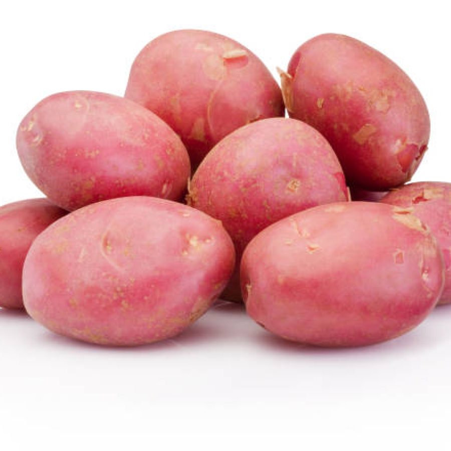 New red potato isolated on white background