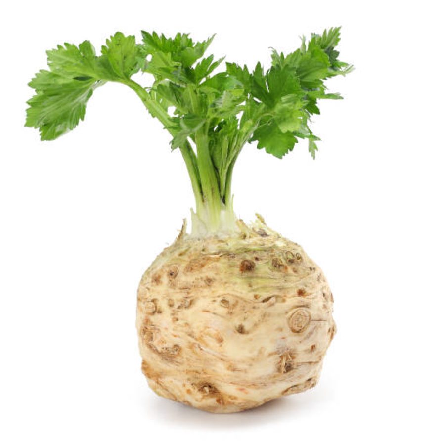 celery root with leaf isolated on white background. Celery isolated on white. Healthy food