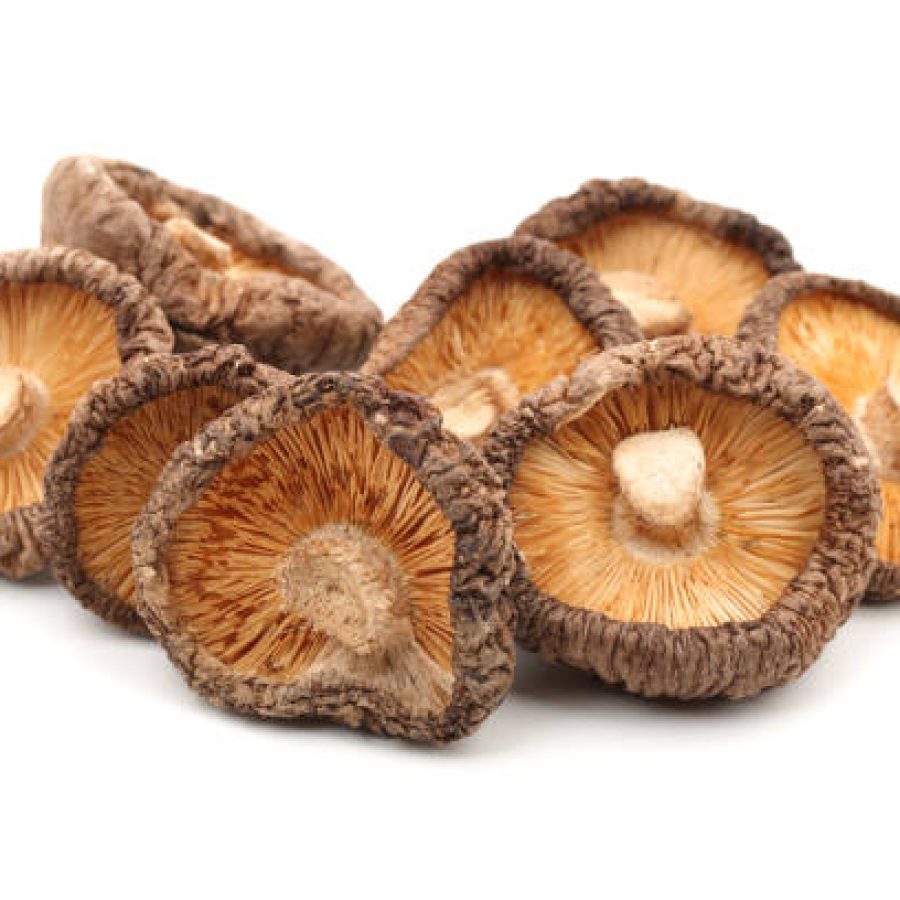 Dried shiitake mushrooms  isolated on white background