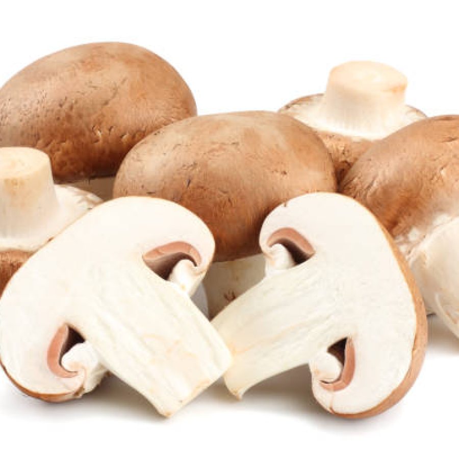 Fresh champignon mushrooms isolated on white background