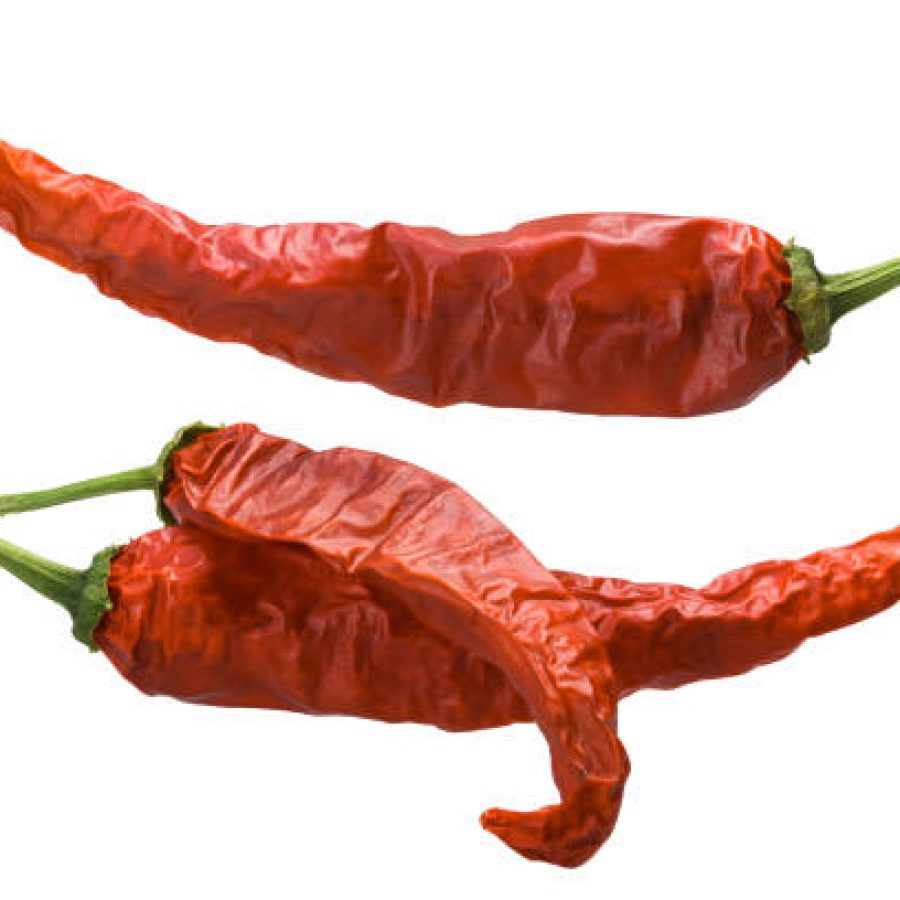 Dried Guajillo Chile peppers (C. annuum, 2500-5000 Scoville), whole pods. Clipping paths